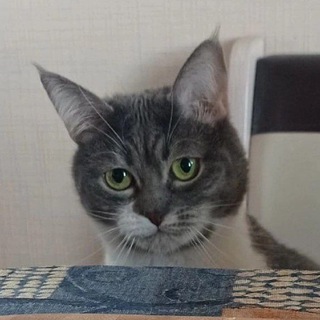 Маруся мотивирует