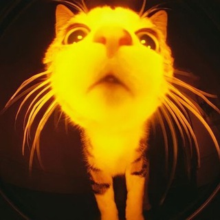 лЕгушкин дневник