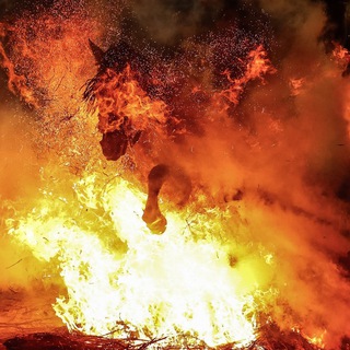 КОНАТУС ВЕЩАЕТ