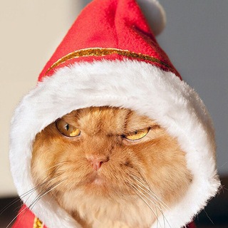 ❤конкурсы❤️