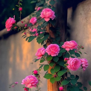 конкурсы от 𝙵𝙰𝙸 💗