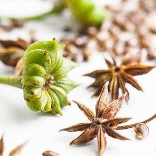 Korizadecor /Цветочный / Флористика /ЛэндАрт