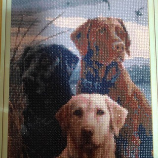 Корма для животных!