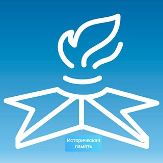 Проект партии 