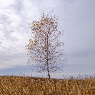 Портрет русской глубинки | Александр Корженков