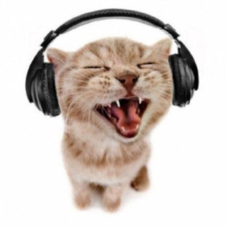 СОСИСКИ МОШЕРА