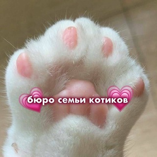 🍁Бюро Семьи Котиков🍁 | 𝐆𝐞𝐧𝐬𝐡𝐢𝐧𝐃𝐫𝐨𝐩