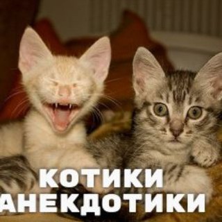 Котики-Анекдотики