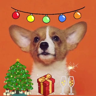 ЖИВОТНЫЕ КРАСНОДАР