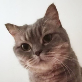 В мире животных🐶🐱