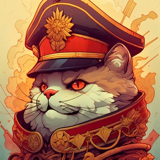 Котёнок TeaM