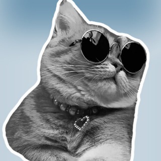 Его котейшество