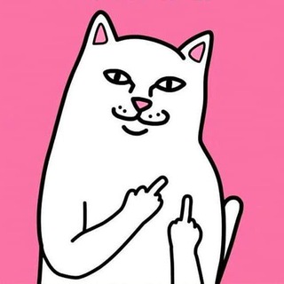 Кот который никому не рад