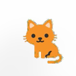 КОТный 😻 контент (годный контент)