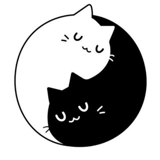 КОТОКАФЕ ПОМУРРРЧИМ 🐱