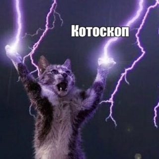 котоскоп