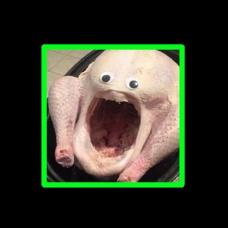 Кто-то кототоник