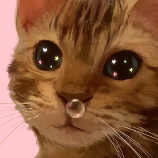 КОТПРИТОН🇺🇦