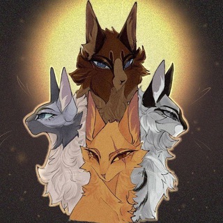 Коты- воители