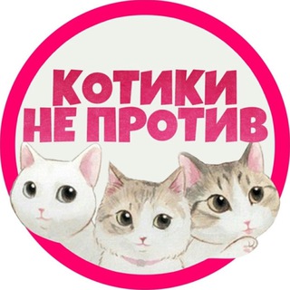 Котики не против