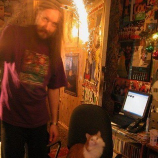 Boulevard of broken cats🎄