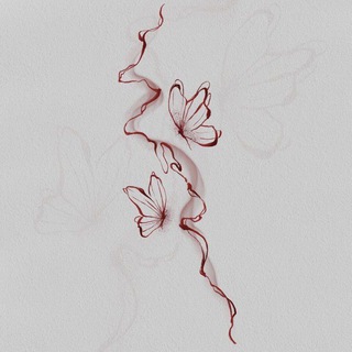 ♡𝒍𝒊𝒕𝒕𝒍𝒆 𝒘𝒂𝒓𝒓𝒊𝒐𝒓♡