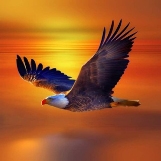 Красота Кавказа VIP