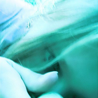 Krᴇvᴇᴛᴋa🦐