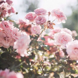 Кристина Хананеина