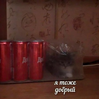 С днём доброго мема