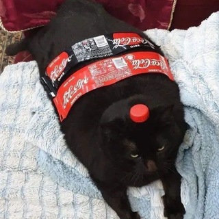 КОНКУРСЫ!!!!