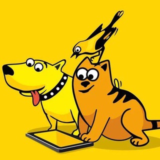 Крылья🦜лапы🐕хвосты🐈