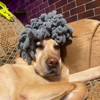 Ксюша Голощапова