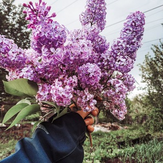 Обогащай душу / книги 📖