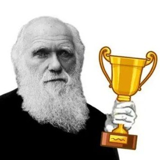 Кубок Дарвина 🔞