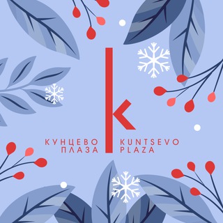 МФК «Кунцево Плаза»