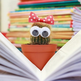 Платные курсы - БЕСПЛАТНО🎉