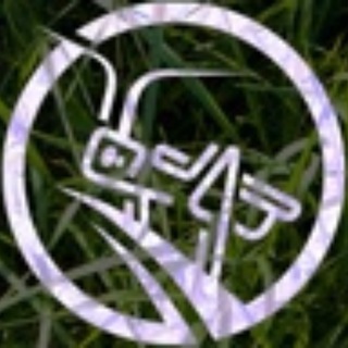 Кузнечики NEWS