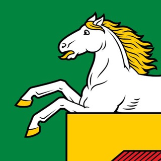 Новокузнецкий Конь