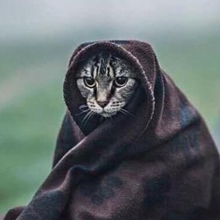 Андеграундная психология