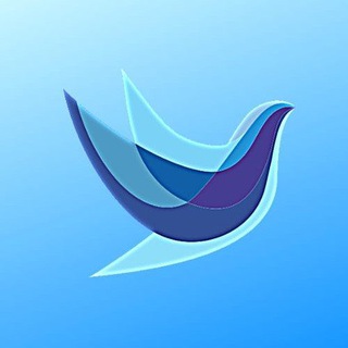 Детский лагерь МИР 🕊