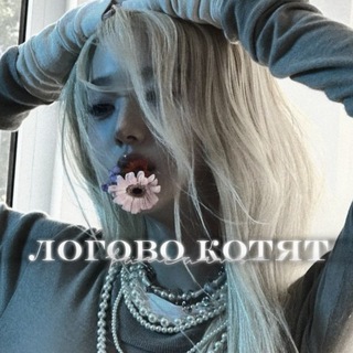 ⋆⁺₊⋆ ᴧᴏᴦᴏʙᴏ ᴋᴏᴛяᴛ 🐈