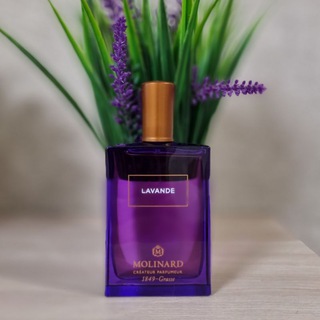 Духи и туманы