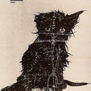 Быть дохлой кошкой