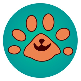 Лапки 🐾 Счастья