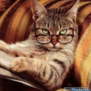 Юридический канал 