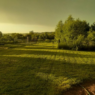 Жить в России Leben in Russland