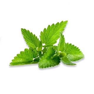 Народные средства | Лечение