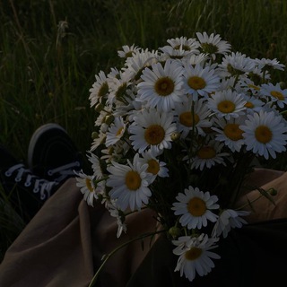 Дагна улло дег.