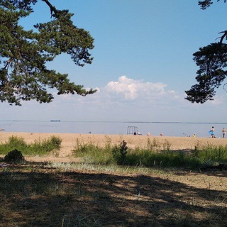 Хорошие новости Ленинградская область❤️ | СПб